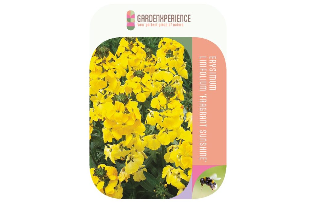 GardenXperience label 6